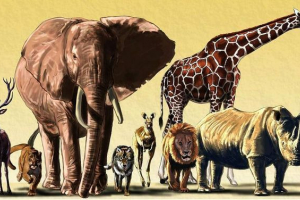 4 Жовтня, весь світ святкує день захисту тварин 4 Жовтня, весь світ святкує день захисту тварин